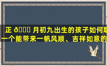 正 🍁 月初九出生的孩子如何取一个能带来一帆风顺、吉祥如意的美名宝宝取名 🦢 为什么很重要